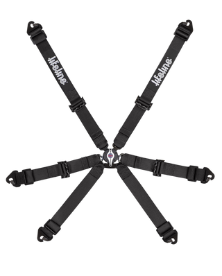 Becketts FIA Race Harness