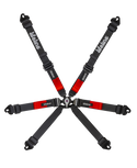 Copse FIA Race Harness
